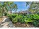 Sidewalk view of lush landscaping with mature trees surrounding the property at 5704 Eaglemount Cir, Lithia, FL 33547