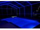A night view of the screened-in pool area featuring blue lighting, with surrounding plants at 5704 Eaglemount Cir, Lithia, FL 33547