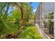 A view of the well maintained backyard with lush green grass, tropical trees and screened in patio at 703 Monte Cristo Blvd, Tierra Verde, FL 33715