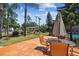 Outdoor patio furniture setup with a view of the pristine backyard lawn and tall palm trees at 7507 Beasley Rd, Tampa, FL 33615