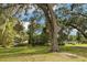Expansive yard with mature trees, providing shade and a serene atmosphere at 9542 Wallien Dr, Brooksville, FL 34601