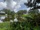 Beautiful lake view surrounded by green foliage, creating a serene and private outdoor space at 3010 Grand View Ave, Clearwater, FL 33759