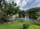 Scenic lake view framed by lush greenery and trees, offering a peaceful and picturesque backyard setting at 3010 Grand View Ave, Clearwater, FL 33759