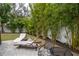 Relaxing backyard with lounge chairs surrounded by lush bamboo providing a sense of privacy at 4111 W Swann Ave, Tampa, FL 33609