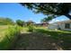 Expansive backyard featuring mature landscaping, storage shed and screened porch at 10031 Cherry Creek Ln, Port Richey, FL 34668