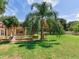 Lush backyard featuring a screened-in lanai, mature landscaping, and expansive green lawn at 10504 Echo Lake Dr, Odessa, FL 33556