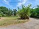 Vacant lot next to tree-lined driveway at 10504 Echo Lake Dr, Odessa, FL 33556