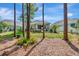 Lush backyard with mature trees and ample space for recreation at 11510 Quiet Forest Dr, Tampa, FL 33635