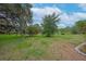 Expansive backyard with lush greenery, mature trees, and fenced-in area at 14223 Lambert Bridge Ln, Lithia, FL 33547
