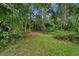 Tranquil backyard showcasing lush greenery, mature trees, and natural setting at 15012 N 301 Hwy, Thonotosassa, FL 33592