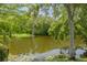 Scenic view of a tranquil pond with lily pads and mature trees offering ample shade and privacy at 152 Glenn Moor Cir, Dunedin, FL 34698