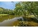 Picturesque view of a serene pond reflecting the surrounding trees on a sunny day at 152 Glenn Moor Cir, Dunedin, FL 34698