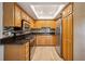 Well-equipped kitchen with stainless steel appliances, dark countertops, and wood cabinets, ready for cooking at 15202 Morning Dr, Lutz, FL 33559