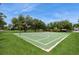 Outdoor basketball court with vibrant green pavement, white markings, and lush green grass at 15801 Cottontail Pl, Tampa, FL 33624