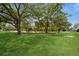 Bright green lawn with a playground area, featuring swings and a slide beneath mature trees and a clear blue sky at 15801 Cottontail Pl, Tampa, FL 33624