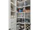 Well-organized walk-in pantry with ample shelving and storage space at 17 Franklin S Ct # C, St Petersburg, FL 33711