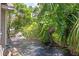 View of an overgrown backyard surrounded by a chain link fence and lush, tropical vegetation at 2038 16Th S St, St Petersburg, FL 33705