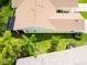 Aerial view highlighting the home's back yard and mature landscaping at 21209 Diamonte Dr, Land O Lakes, FL 34637