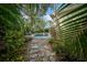 Stone pathway leading to a secluded pool and spa surrounded by vibrant tropical foliage at 3903 W De Leon St, Tampa, FL 33609