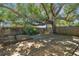 Spacious backyard featuring a large mature tree, wooden deck, and fenced perimeter at 4412 Bray Rd, Tampa, FL 33634