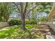 Spacious fenced backyard with a well-manicured lawn and mature trees, offering privacy and shade at 5102 White Pine Ne Cir, St Petersburg, FL 33703