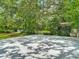 Backyard concrete patio with ample shade provided by mature trees offering a secluded and relaxing atmosphere at 10930 Marjory Ave, Tampa, FL 33612