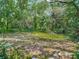 Private backyard setting with mature trees providing shade for a serene outdoor experience at 10930 Marjory Ave, Tampa, FL 33612