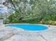 Relaxing kidney-shaped pool is surrounded by lush greenery, a small statue, and concrete patio at 10930 Marjory Ave, Tampa, FL 33612