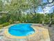 Backyard features a private kidney-shaped pool with a patio, chairs, and verdant landscaping at 10930 Marjory Ave, Tampa, FL 33612