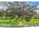 Expansive green lawn with a large, mature tree creating a picturesque landscape at 11615 Mango Ridge Blvd # 39, Seffner, FL 33584