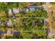 Aerial view of property and neighborhood boundaries, nestled amongst lush greenery and tree cover at 1302 E Flora St, Tampa, FL 33604
