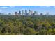 View of the city skyline and the surrounding greenery, highlighting urban access at 1302 E Flora St, Tampa, FL 33604