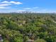 Distant city skyline view over lush green trees, showcasing the proximity to urban amenities at 1302 E Flora St, Tampa, FL 33604