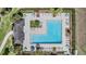 An aerial view of a community pool with lounge chairs and tables surrounded by palm trees and greenery at 1396 White Fox Run, Lutz, FL 33549