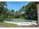 Community basketball court surrounded by trees and lush greenery, under a clear blue sky at 14612 Corkwood Dr, Tampa, FL 33626