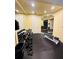 Dedicated weight room with a variety of dumbbells, weight machines, and mirrored walls for effective training at 4207 S Dale Mabry Hwy # 9106, Tampa, FL 33611