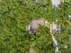 Bird's eye view of the home with surrounding trees; shows a well-maintained brown roof at 56 Bay Woods Dr, Safety Harbor, FL 34695