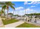 Marina docks lined with palm trees, green grass, and various docked boats under sunny skies at 56 Bay Woods Dr, Safety Harbor, FL 34695