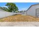 Expansive backyard with healthy green and brown grass, framed by a white fence, perfect for entertaining guests at 8010 Chickasaw Ln, Port Richey, FL 34668