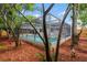 Backyard screened-in pool with surrounding lush foliage and mulched landscape at 9241 Cochise Ln, Port Richey, FL 34668