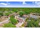 Aerial view of a neighborhood showcasing mature trees, swimming pools and well-maintained lawns at 1017 Cameo Crest Ln, Valrico, FL 33596