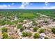 Wide aerial view of a residential neighborhood with many mature trees and green spaces at 1017 Cameo Crest Ln, Valrico, FL 33596