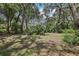 View of the home's backyard and pool area from across the yard through mature trees at 12433 Kelso Rd, Thonotosassa, FL 33592