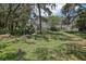 View of the home's backyard and pool area from across the yard through mature trees at 12433 Kelso Rd, Thonotosassa, FL 33592