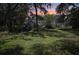 Backyard view with an enclosed screened patio with an outdoor pool at 12433 Kelso Rd, Thonotosassa, FL 33592