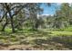 View of the fenced-in backyard with a mature tree and greenery in the background at 12433 Kelso Rd, Thonotosassa, FL 33592