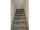 Carpeted staircase with white railing, providing a safe and stylish transition between floors at 19643 Shady Oak Dr, Land O Lakes, FL 34638