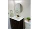Updated bathroom featuring modern vanity with round mirror, with plants atop the toilet at 4511 Hampshire Rd, Tampa, FL 33634