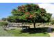 Outdoor area with a large shade tree, picnic tables, and BBQ grill, offering a relaxing space at 6075 Shore S Blvd # 215, Gulfport, FL 33707