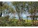 A serene water view featuring lush greenery and inviting benches for enjoying the scenic waterfront property at 6075 Shore S Blvd # 215, Gulfport, FL 33707